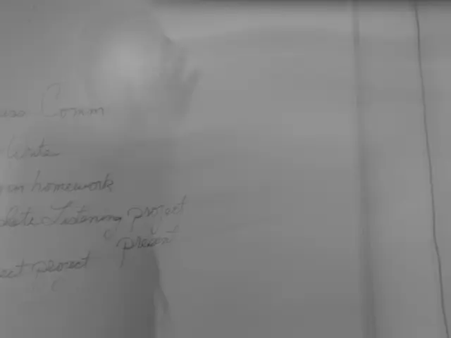 Guidelines and User Obligations