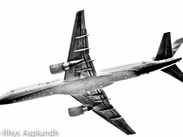 Enhanced Maximum Payout by HollywoodBets in Aviator Game